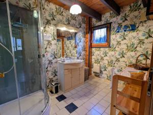 a bathroom with a shower and a sink at Chalet confortable avec 4 chambres, cheminée, grand terrain, proche pistes et lac - FR-1-589-107 in Le Ménil +22 photos