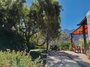 a garden with a hammock and a gazebo at Cabañas Alta Vista in Tilcara