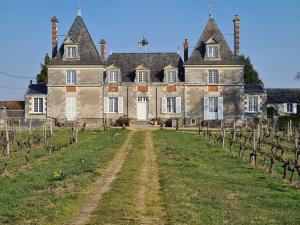 une vieille maison avec des vignes devant elle dans l'établissement Gîte familial entre Angers et Saumur - FR-1-622-104, à Saint-Sulpice