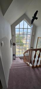 欧拉夫斯维克Maggys Home的相册照片