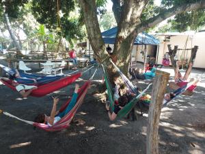 Fotografie z fotogalerie ubytování Finca Agroturística La Sultana v destinaci Espinal