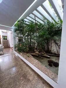 Zahrada ubytování CORTESE HOTEL