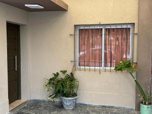 a window with plants on the side of a building at NEKZA TEMPORARIOSs in Resistencia