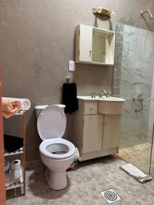 a bathroom with a toilet and a sink and a shower at NEKZA TEMPORARIOSs in Resistencia