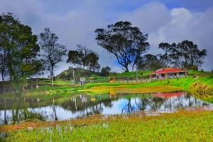 a pond in a field with a house in the background at Hostal Pachanuna in Murillo