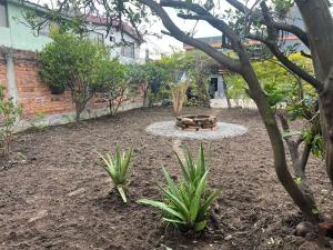 un jardin avec un foyer au milieu dans l'établissement Sierra Nevada 2, à Ibarra