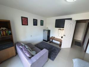 TV a/nebo společenská místnost v ubytování English owned Homestay and Yoga