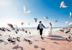 a bride and groom walking on the beach amidst birds at Gp Apartment View Beach in Da Nang