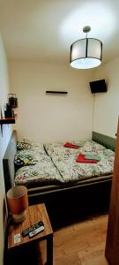 Postel nebo postele na pokoji v ubytování Apartmán Shelly