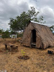 a grass hut with a bench and a table at Mondulkiri tour and family homestay in Krong Saen Monourom +40 photos