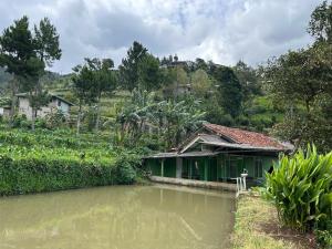 a house on the side of a body of water at Villa DiDu, Puncak 2 in Cikuray