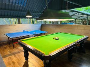 two ping pong tables in a ping pong room at 1000 SILVERS -Farm Stay in Mysore