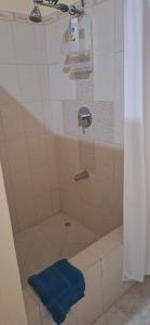 a bathroom with a shower with a blue towel on the floor at Uthelina in Saint Peter +19 photos