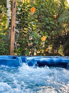 Hồ bơi trong/gần Avalon Resort