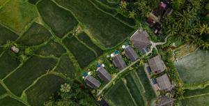 Letecký snímek ubytování The Pulu Villas by GenuineHost