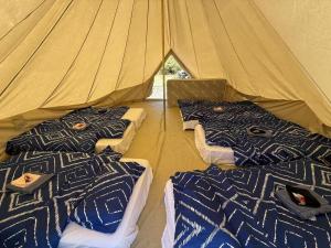 a group of three beds in a tent at Roseneath Holiday Park in Meerlieu +104 photos