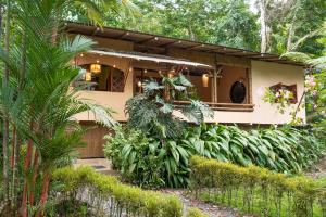 ein Haus mit einem Haufen Pflanzen davor in der Unterkunft Casa De Luz Bohemian home in Talamanca