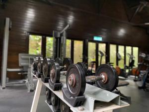Fitness centrum a/nebo fitness zařízení v ubytování Philea Resort & Spa