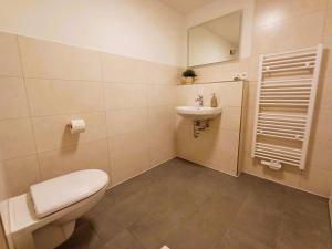 a bathroom with a toilet and a sink at Ferienwohnung Rosini in Hirschburg