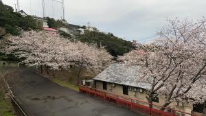 a building with cherry trees in front of it at Shirahama Meiji Villa in Shirahama