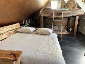 a bedroom with two bunk beds and a ladder at Wellness B&B Meijdema in Ternaard