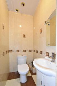 エレバンにあるRooms in the heart of Yerevan 6のトイレと洗面台付きのバスルーム