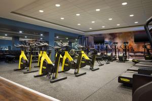 Academia e/ou comodidades em Hilton Dublin Kilmainham