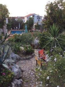 Zahrada ubytování Bicorna - Chania