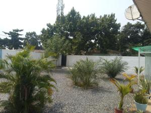 アクラにあるWelcome home to Accra Apartment for Short Stay Rentalの塀前のヤシの木がある庭園