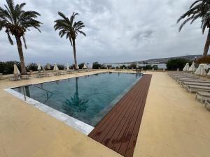 a large swimming pool with palm trees and chairs at Vrachia Beach Hotel & Suites - Adults Only in Paphos