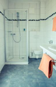 a bathroom with a shower and a toilet and a sink at Der Thomashof in Sankt Jakob im Rosental