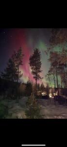 Příroda nedaleko vily + 15 fotografií