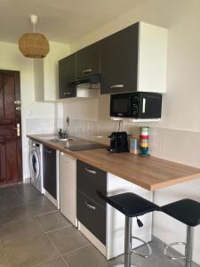a kitchen with a counter with a sink and a microwave at Appartement les Aigrettes - Proxi centre ville & plages in Saint-Gilles les Bains