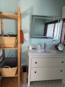 a bathroom with a sink and a bunk bed at 遊びの宿KONoさんち in Tateyama