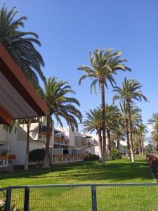 a group of palm trees in front of a building at Primavera Deluxe in Costa Del Silencio