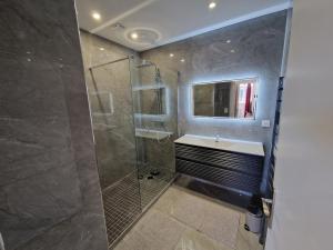 a bathroom with a shower and a sink at Appartement le ara in Auxerre