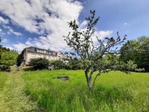 a tree in a field in front of a building at Maison de ressourcement évangélique Tabor in Muhlbach-sur-Munster
