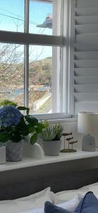 ein Fensterbrett mit zwei Topfpflanzen in einem Schlafzimmer in der Unterkunft Ringmore Cottage - Salcombe - View over estuary in Salcombe