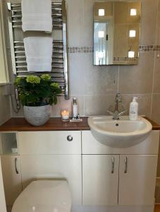 ein Badezimmer mit Waschbecken, Toilette und Spiegel in der Unterkunft Ringmore Cottage - Salcombe - View over estuary in Salcombe + 29 Fotos