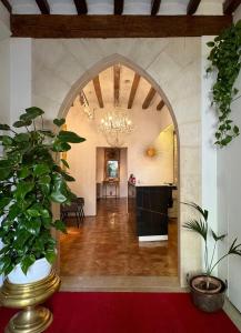 パルマ・デ・マヨルカにあるAH Art Hotel Palmaの植物と台所のアーチ道