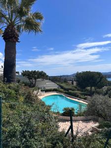 ein Pool mit einer Palme daneben in der Unterkunft Katikias - Duplex climatisé vue mer in Bandol