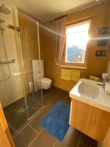 a bathroom with a shower and a sink and a toilet at Haus Zimba Ferienwohnung am Bartholomäberg in Bartholomäberg