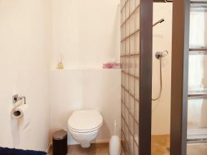 a small bathroom with a toilet and a shower at Studio near Zurich in Affoltern +4 photos