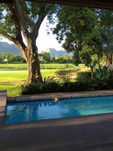 a swimming pool in a yard with a tree at Pecanwood Relaxing Villa 5 bedroom with pool in Hartbeespoort