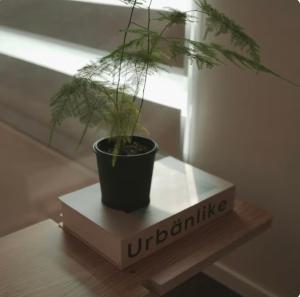 서울에 위치한 Seongsu 10 minutes, K-Architectural Designers' Unique House에서 갤러리에 업로드한 사진