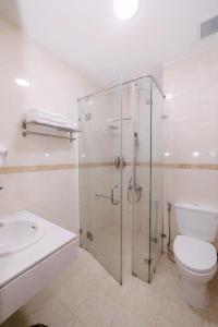 a bathroom with a shower and a toilet and a sink at Đoàn An điều dưỡng 198 in Xuan An