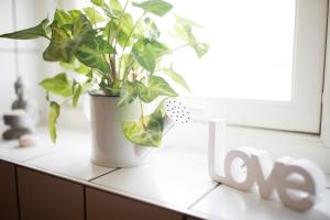 Fotografie z fotogalerie ubytování Modern Guest House Downtown Ystad v destinaci Ystad + 10 fotografií