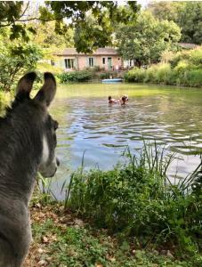 Afbeelding uit fotogalerij van Le Moulin Haut Gîtes in Villeneuvette
