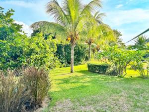 a palm tree in the middle of a yard at Blue Zebra - T4 Oasis - Rivière, Mer et Piscine in Rivière Noire