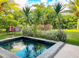 a swimming pool in a garden with palm trees at Blue Zebra - T4 Oasis - Rivière, Mer et Piscine in Rivière Noire +16 photos